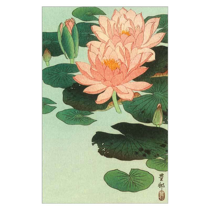 コロタイプ絵はがき〈季趣五題 なつはじめ　睡蓮〉 小原古邨　BC-020