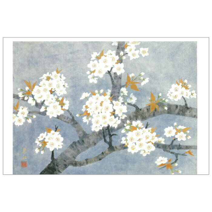【DM便可】 絵はがき 山本倉丘 〈御室の桜〉