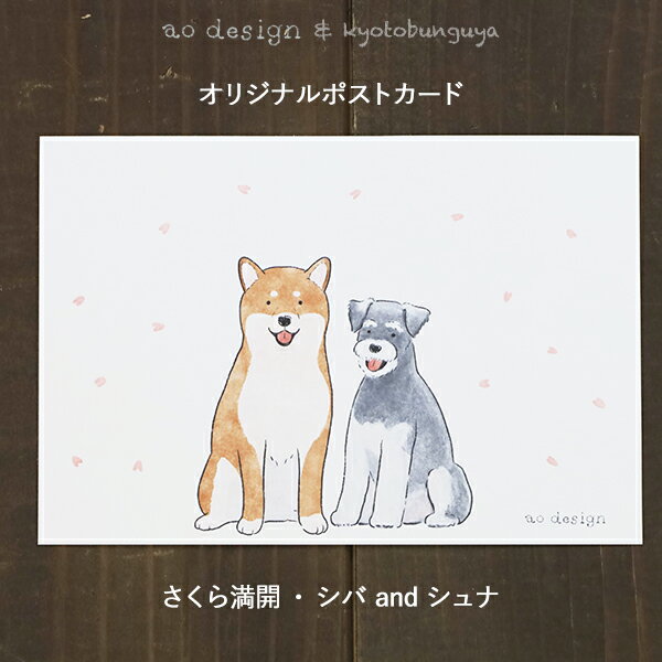 あさのまいこxkyotobunguya〈オリジナルデザイン〉オリジナル　ポストカードさくら満開・シバ and シュナ柴犬,シュナウザー,さくら,桜,サクラ