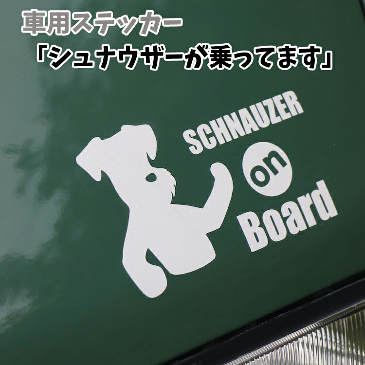 楽天京都文具屋schnauzer on board（シュナウザーが乗ってます）車用ステッカー（文字だけが残るタイプです）