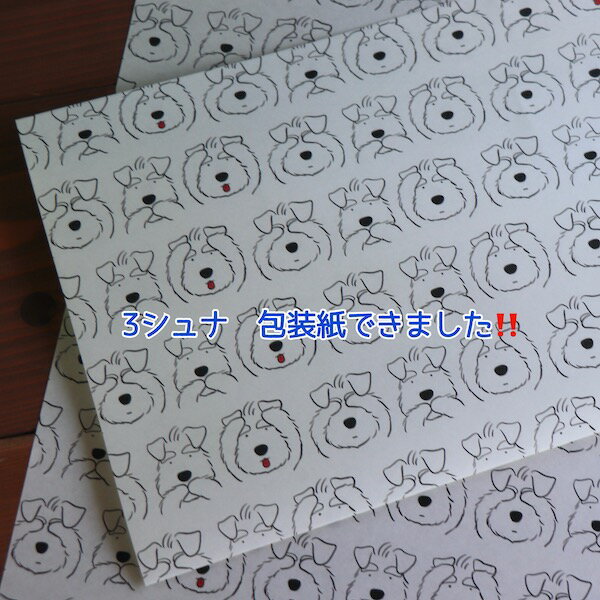 Ikemotto x kyotobunguya3ʤΤĤĤ߻5桢åԥ󥰥ڡѡʥ