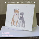 kyotobunguya x ao designqIWifUCr܂~jbZ[WJ[hEt疞JEVo and ViViEU[,Č,schnauzer,shiba,΂,~jVi