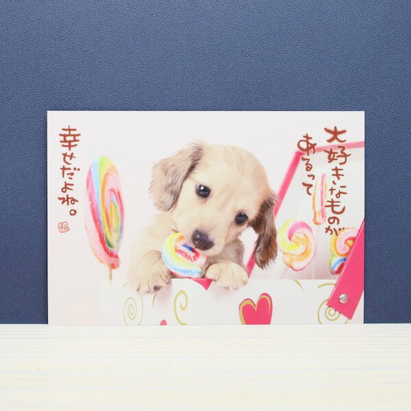 󤳤Υݥȥ繥ʤΤäƹ