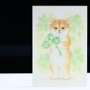 動物と花束ポストカードイラストレーター・米畑有紗柴犬とクローバー
