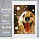 Keisuke Odaデザイン柴犬ポストカードDog in the snow
