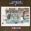 たびねこ・tabineko四季を旅する猫・夏 ポストカード京都の花屋,京都,もりとしのり