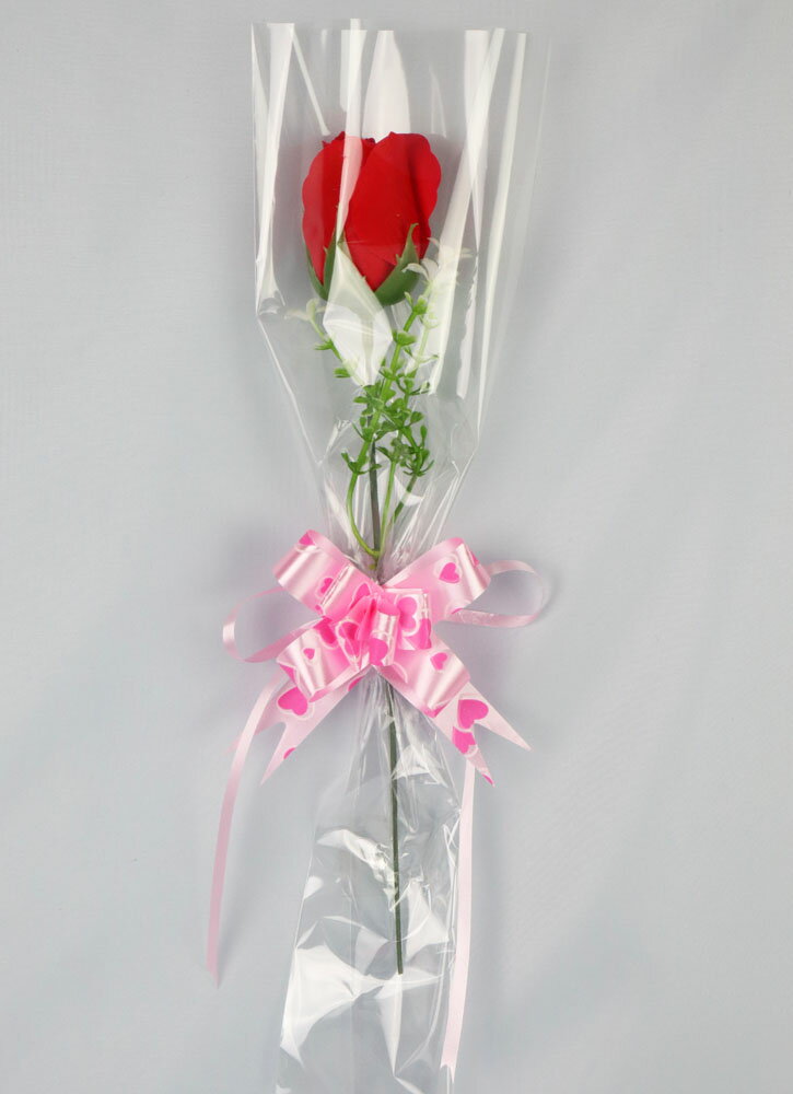 ��2���顼�˥ե������ס���1�������