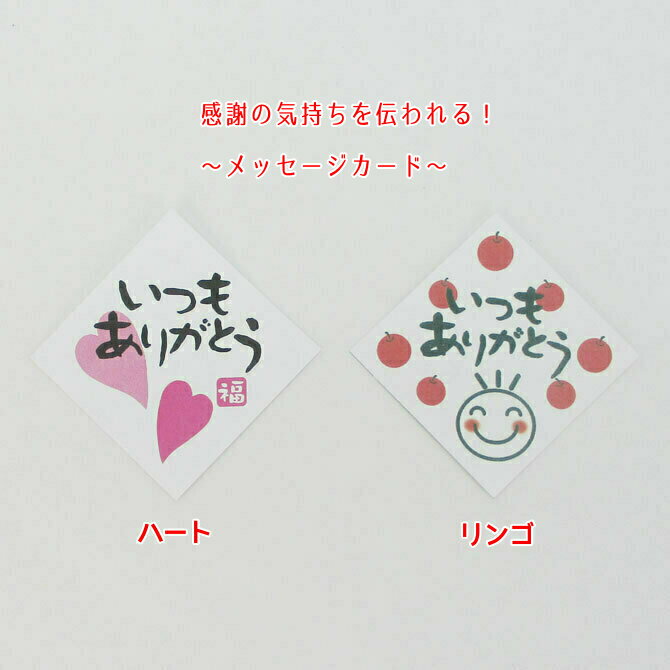 メッセージカード　プレート【10枚】母の日　父の日　敬老の日　普段なかなか言えない感謝の気持ちを一..