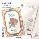 【ダリア｜花言葉シリーズ｜chayori(ちゃより)】ポストで送れるお茶ーお茶と気持ちをお便りにのせてー「chayori」シリーズ　日本茶専門..