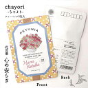 【ペチュニア｜花言葉シリーズ｜chayori(ちゃより)】 ポストで送れるお茶ーお茶と気持ちをお便りにのせてー「chayori」シリーズ 日本茶専門店の京都 宇治田原産煎茶玄米茶ティーバッグ2包入／84円切手で送れるお茶 ポストカード ハガキ お花 おしゃれ プチギフト 花柄