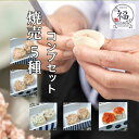 京都点心の人気焼売5種を詰め合わせた贅沢セット肉汁焼売 だし焼売 塩焼売 海老焼売 辛焼売 各2個 合計 10個 セット焼売 しゅうまい シュウマイ シューマイ 冷凍 個包装 冷凍シュウマイ 冷凍焼売 電子レンジ 中華惣菜 食べ比べ 詰め合わせセット 中華料理セット