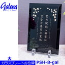 【ガラスプレート位牌】ガレナシリーズ PSH-8-gal (大) 戒名金・銀ミラー仕上 クリスタル位牌