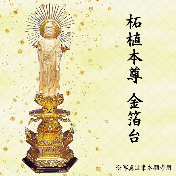 仏像 阿弥陀如来像 浄土真宗西本願寺派用 柘植本尊 金箔台 8角/華鬘台 唐草光背 5寸 美術品 工芸品
