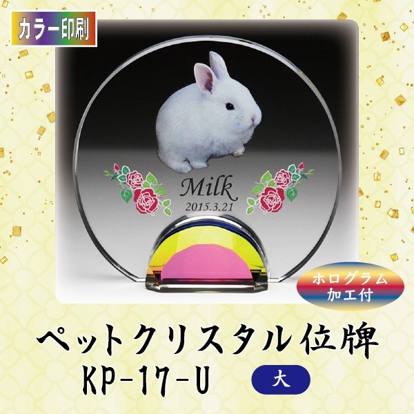 ڥ顼ۥꥹڥåȰ KP-17-U ()ڥå ꥢ ꥹ ̿