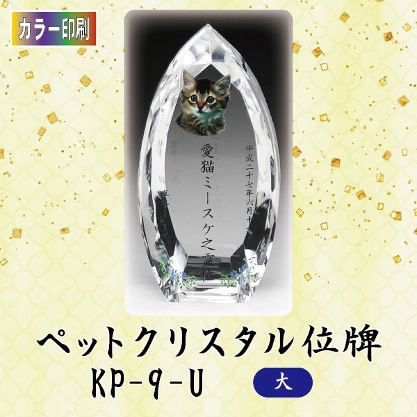 ڥ顼ۥꥹڥåȰ KP-9-U ()ڥå ꥢ ꥹ ̿