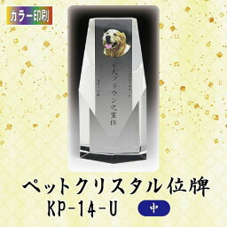 【カラー印刷】クリスタルペット位牌 KP-14-U (中)ペット メモリアル クリスタル 写真