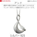 【SoulJewelry】遺骨ペンダント アンド シルバー925 ソウルジュエリー キュービックジルコニア 手元供養 ペット供養
