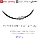 【SoulJewelry】遺骨ペンダント ファイテンコラボレーション 「アペロン」 ファイテン社 アクアチタン 手元供養 ペット供養 ソウルジュエ...