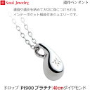 【SoulJewelry】ドロップ [Pt900 プラチナ] 40cm ダイヤモンド遺骨ペンダント 手元供養 ペット供養