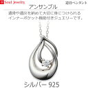 【SoulJewelry】遺骨ペンダントアンサンブル シルバー925 ソウルジュエリーキュービックジルコニア手元供養 ペット供養