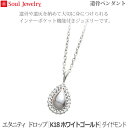 【SoulJewelry】遺骨ペンダントエタニティ ドロップ [K18ホワイトゴールド] ダイヤモンド手元供養 ペット供養