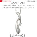 【SoulJewelry】遺骨ペンダント ミルキーウェイ シルバー925 ソウルジュエリー キュービックジルコニア 手元供養 ペット供養