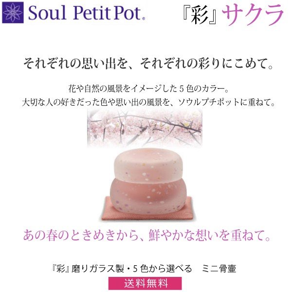 Soul PetitPot  ץݥåȡۡغ̡٥ ꥬ饹5٤ ߥ˹
