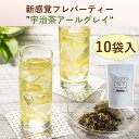 【公式】 即日出荷 受付13時まで 宇治茶アールグレイ 10パック フレーバーティー 煎茶 アールグレイ プレゼント 紅茶 お茶 ティーバック きよ泉 京都 緑...