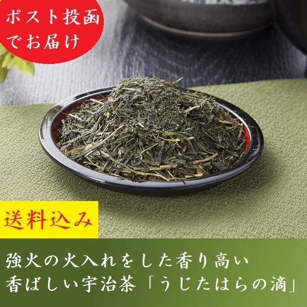 お茶 緑茶 プレゼント 深蒸し茶 宇治茶 うじたはらの滴 90g かぶせ茶 煎茶 2024 きよ泉 茶葉 茶鑑定士 自家用 帰省 オリジナル お土産 手土産 送料無料