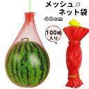 吊り下げスイカネット 100枚入り 多用途 40 cm ロープ付きメッシュネット袋 延伸棒ネット 丈夫なネットバッグ メッシュネット袋 メッシュネット袋 吊り下...