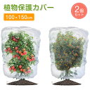 植物保護カバー 2個セット (100X150cm) 防虫ネット 防鳥ネット 園芸用ネット 菜園 プランター 花壇適用のホワイト野菜栽培 園芸用ネット 透明 通気...