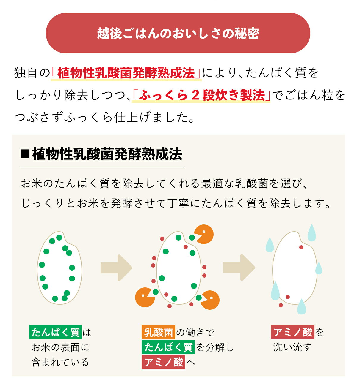 【送料無料】 1/25越後ごはん 3ケース (180g×60パック) 低たんぱく米 腎臓病食 低たんぱく ごはん 米 お米 パックご飯 低たんぱくご飯 低タンパク米 低たんぱくごはん バイオテックジャパン 腎臓病レトルト食 3