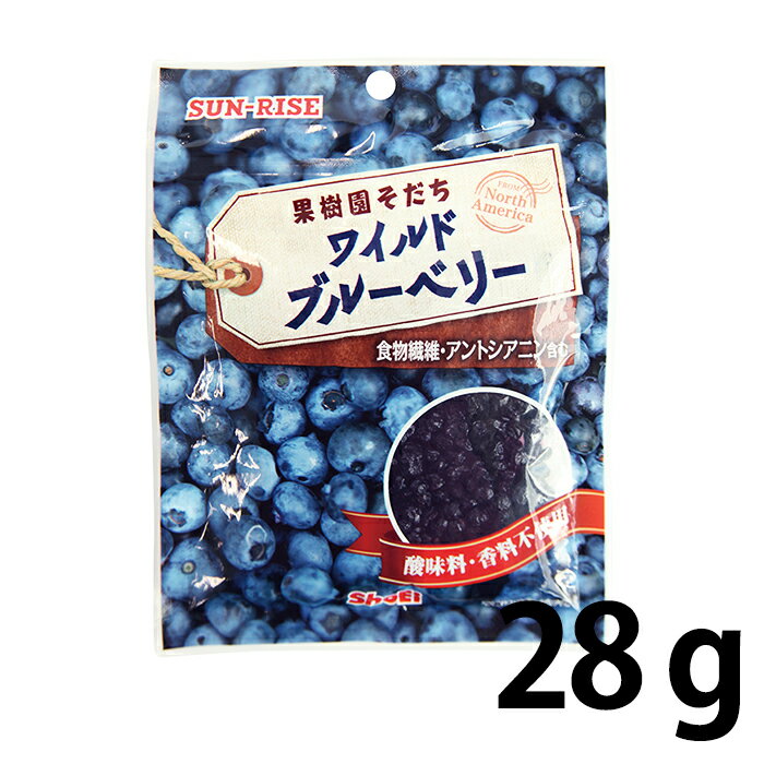 サンライズ ワイルドブルーベリー 28g ドライフルーツ 小袋 正栄食品 チャック付き アメリカ産　酸味料・香料不使用