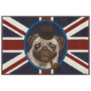 փ}bg GgX}bg ֑O}bg }bg EHbVEAhEhC G016A British Pug 50~75cm 􂦂   o[ O KLEEN-TEX(N[ebNX)