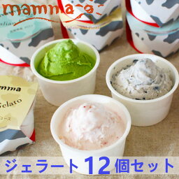 mamma イタリアンジェラート 12個セットA アイスクリーム 詰め合わせ アイスクリーム スイーツ アイス セット