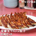 【日付指定不可】マルシン飯店 生餃子6箱セット 送料無料 1箱20個入×6箱 生餃子 餃子 ギョーザ 中勢以 中華 マルシン 行列 京都 お取り寄せ グルメ お...