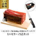 【送料無料 クール代込み】スペイン産 生ハム ハモンセラーノ ブロック ミニ 原木 800g ご自宅でカット 専用ホルダー キット 3点セット パーティー カワ...