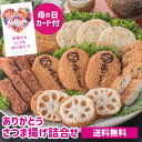 送料無料 松野下蒲鉾 ありがとうさつま揚げ詰め合わせ 500g 母の日 贈り物 贈答用 食べ物 薩摩揚 クール代込 産地直送 冷蔵 松野下蒲鉾(産直)