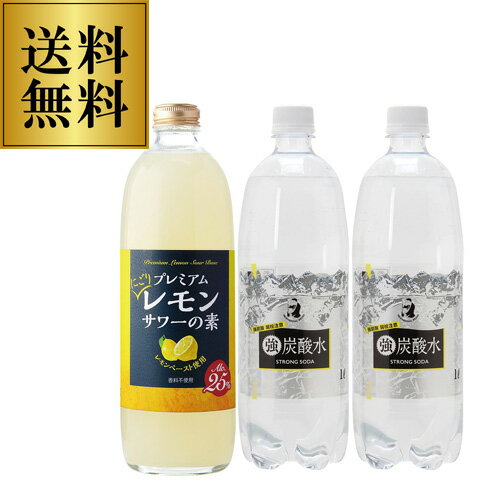 能勢レモンサワー+炭酸水1L 2本 プレゼント ギフト 長S 能勢レモンサワー+炭酸水1L 2本 プレゼント ギフト 長S