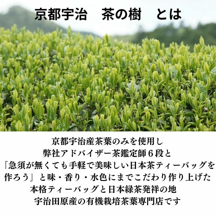 【送料無料】2024年 有機栽培 宇治新茶 50g 10袋セット 京都宇治 茶の樹 契約茶園 | 旬 お土産 贈り物 宇治茶 オーガニック JAS取得 日本茶 美味しい お茶 高級 おすすめ 好き 美味しい 八十八夜 プレゼントおいしい 母の日 2