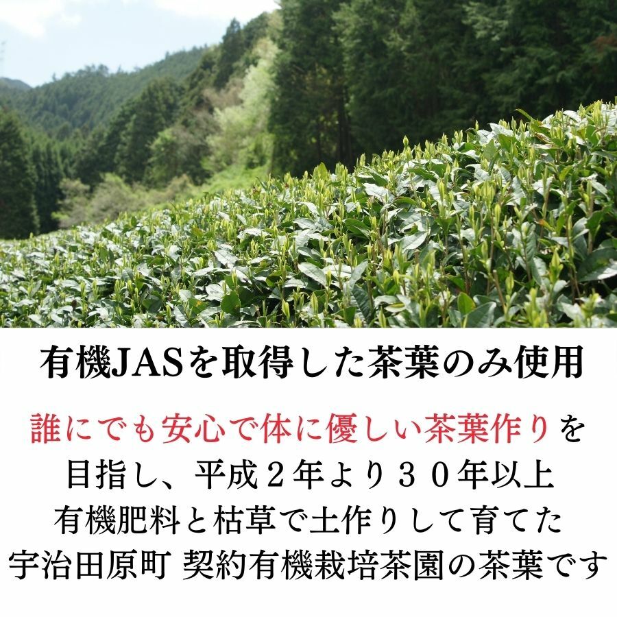 【送料無料】2024年 有機栽培 宇治新茶 50g 10袋セット 京都宇治 茶の樹 契約茶園 | 旬 お土産 贈り物 宇治茶 オーガニック JAS取得 日本茶 美味しい お茶 高級 おすすめ 好き 美味しい 八十八夜 プレゼントおいしい 母の日 3