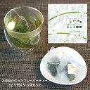 【送料無料】お茶屋が作った 本格 フレーバーティー ミント 煎茶 ティーバッグ 3g 5個入り 5袋セット｜ 日本茶 京都 宇治茶 有名 ギフト おしゃれ おすすめ 宇治 高級 人気 かわいい 美味しい おいしい 海外 プレゼント ペパーミント 水出し お茶 ミントティー