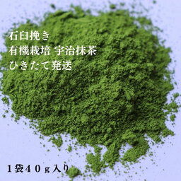 【For overseas shipping】 Organic stone-ground Uji matcha 40g