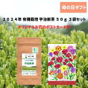 母の日 お花 のポストカード付 2025年 有機栽培 宇治新茶 50g 3袋セット | ギフト 旬 お土産 贈り物 宇治茶 オーガニック JAS取得 日本茶 美...