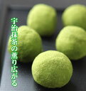 2024バレンタイン 生チョコ餅抹茶 井津美屋 チョコ 和菓子 お返し 変わったチョコ 京都 饅頭 スイーツ その1