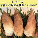 予約 令和6年 朝堀り当日発送 たけのこ筍4kg（優品) 京都・大枝塚原産 当日発送 旬 タケノコ 竹の子 洛西 京料理 精進料理 高級ブランド 春の味覚 贈り物 クール便指定おねがいします