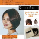 シートエクステ トップエクステンション テープ式 ワンタッチ ヘアアレンジ 部分ウィッグ かつら 女性 レディース 人工毛 ウィッグ ショート ミディアム エク...