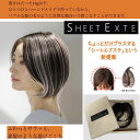 シートエクステ トップエクステンション テープ式 ワンタッチ ヘアアレンジ 部分ウィッグ かつら 女性 レディース 人工毛 ウィッグ ミディアム ロング エクス...