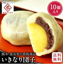 ★ 12/4～ P5倍 【送料無料 ・ 冷蔵】和菓子屋 恭栄堂 いきなり団子 個包装 10個入 つぶあん 北海道産 小豆100% ギフト お取り寄せ お土産 送料無料