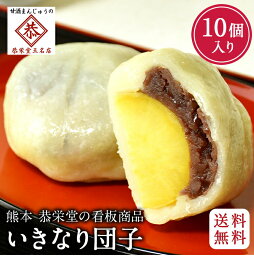 【送料無料 ・ 冷蔵】和菓子屋 恭栄堂 いきなり団子 個包装 10個入 つぶあん いきなりだんご 母の日 ギフト